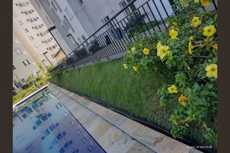 Apartamento para alugar com 50m², 2 quartos e 1 vaga Apartamento para alugar com 50m², 2 quartos e 1 vagaÁrea externa