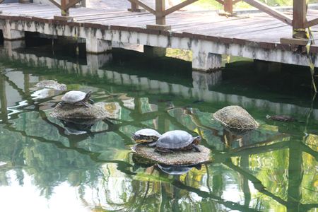 Apartamento à venda com 56m², 2 quartos e 1 vagaÁrea comum