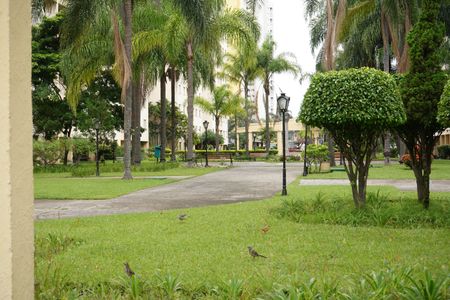 Apartamento à venda com 69m², 3 quartos e 1 vagaÁrea comum