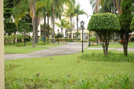 Apartamento à venda com 69m², 3 quartos e 1 vagaÁrea comum