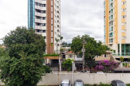 Vista da Sacada de apartamento para alugar com 2 quartos, 50m² em Jardim Vila Formosa, São Paulo