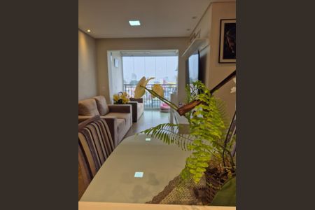 Foto 13 de apartamento à venda com 2 quartos, 55m² em Ipiranga, São Paulo