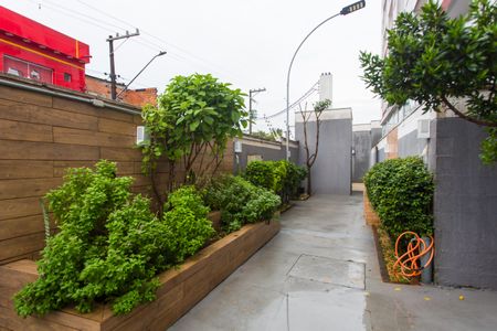 Apartamento para alugar com 50m², 2 quartos e 1 vagaÁrea Pet