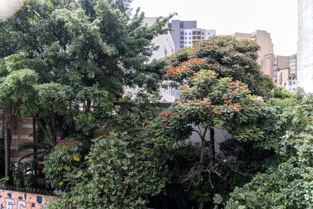 Vista de apartamento à venda com 1 quarto, 50m² em Santa Cecilia, São Paulo