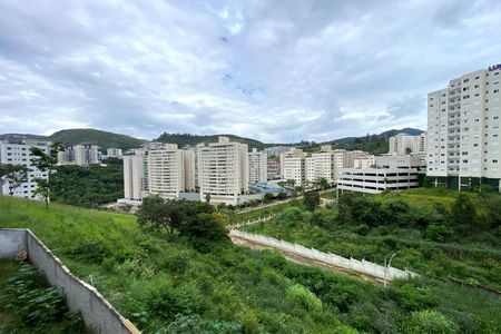 Vista da Suite 1 de apartamento à venda com 3 quartos, 160m² em Buritis, Belo Horizonte