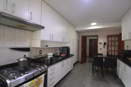 Apartamento para alugar com 343m², 3 quartos e 2 vagasCozinha