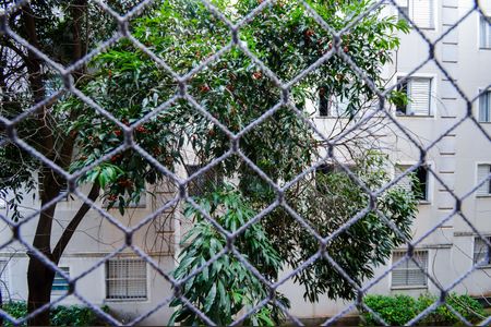 Apartamento para alugar com 46m², 2 quartos e 1 vagaVista do Quarto 1