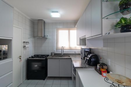 Apartamento à venda com 117m², 3 quartos e 2 vagas Apartamento à venda com 117m², 3 quartos e 2 vagasCozinha
