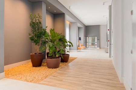 Apartamento à venda com 59m², 3 quartos e 1 vagaHall Social