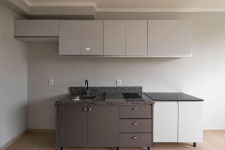 Cozinha de apartamento para alugar com 1 quarto, 25m² em Barra Funda, São Paulo
