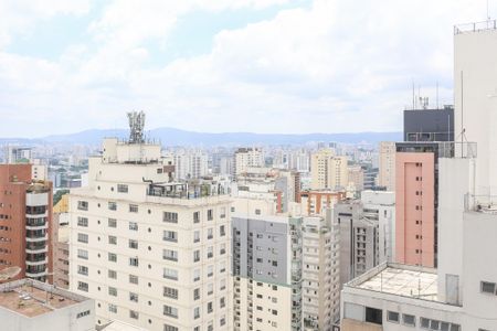 Studio para alugar com 25m², 1 quarto e sem vagaVista da Sacada