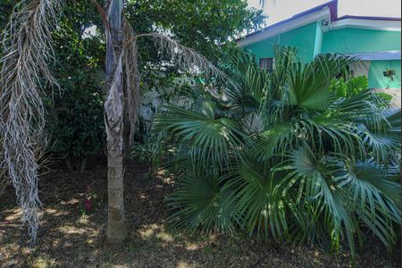 Casa para alugar com 200m², 3 quartos e 6 vagasQuintal