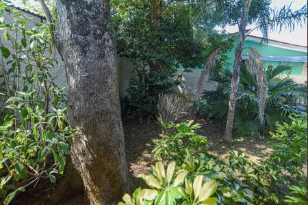 Casa para alugar com 200m², 3 quartos e 6 vagasQuintal