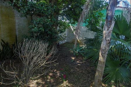 Casa para alugar com 200m², 3 quartos e 6 vagasQuintal