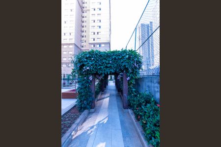 Studio para alugar com 50m², 1 quarto e sem vaga Studio para alugar com 50m², 1 quarto e sem vagaÁrea comum