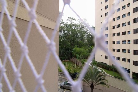 Apartamento à venda com 117m², 2 quartos e 1 vaga Apartamento à venda com 117m², 2 quartos e 1 vagaVista Suíte
