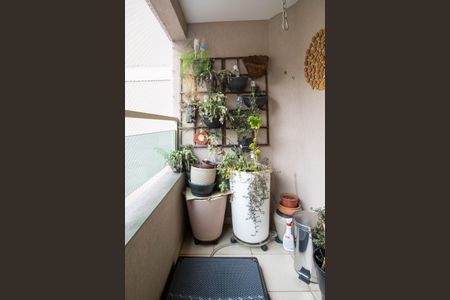 Varanda da Sala de apartamento para alugar com 2 quartos, 117m² em Paraíso do Morumbi, São Paulo