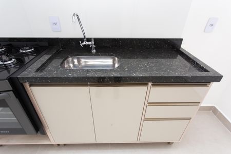 Apartamento para alugar com 38m², 2 quartos e sem vagaCozinha / Pia