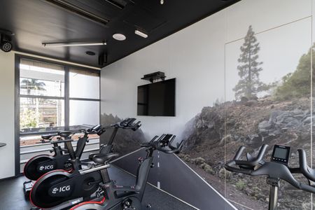 Studio para alugar com 23m², 1 quarto e 1 vagaÁrea comum - Academia