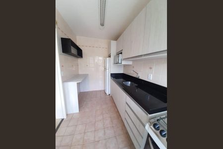 Cozinha  de apartamento para alugar com 1 quarto, 34m² em Santo Antônio, Porto Alegre