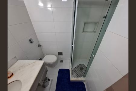 Banheiro  de apartamento para alugar com 2 quartos, 111m² em Flamengo, Rio de Janeiro