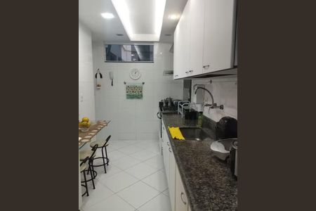 Cozinha  de apartamento para alugar com 2 quartos, 120m² em Flamengo, Rio de Janeiro