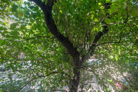 Apartamento à venda com 76m², 2 quartos e 1 vagaVista