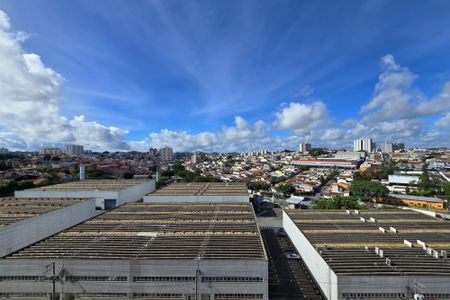 Apartamento à venda com 54m², 2 quartos e 1 vaga Apartamento à venda com 54m², 2 quartos e 1 vagaVista - Sacada