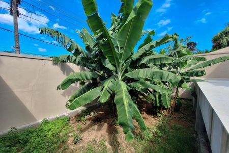 Casa para alugar com 465m², 4 quartos e 4 vagasQuintal