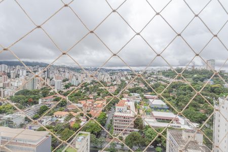 Vista da Varanda na Sala de apartamento para alugar com 4 quartos, 170m² em Santo Agostinho, Belo Horizonte