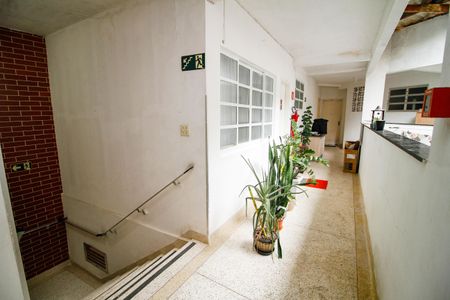 Apartamento para alugar com 60m², 2 quartos e 1 vagaÁrea comum