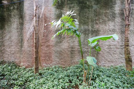 Apartamento para alugar com 57m², 3 quartos e 1 vagaVista da Sala