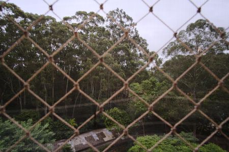 Apartamento para alugar com 122m², 3 quartos e 2 vagasVista