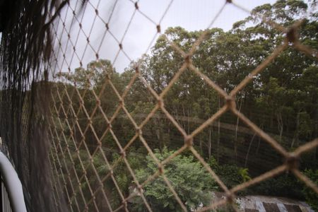 Apartamento para alugar com 122m², 3 quartos e 2 vagasVista