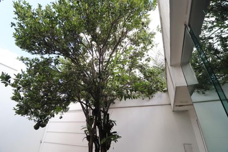 Casa para alugar com 190m², 3 quartos e 3 vagasJardim