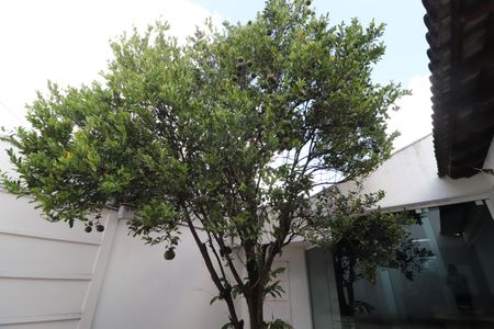 Casa para alugar com 190m², 3 quartos e 3 vagasJardim