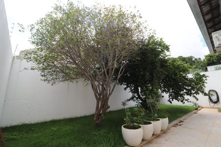 Casa para alugar com 190m², 3 quartos e 3 vagasQuintal