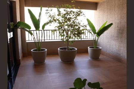 Apartamento para alugar com 61m², 2 quartos e 1 vagaÁrea comum - Salão de festas