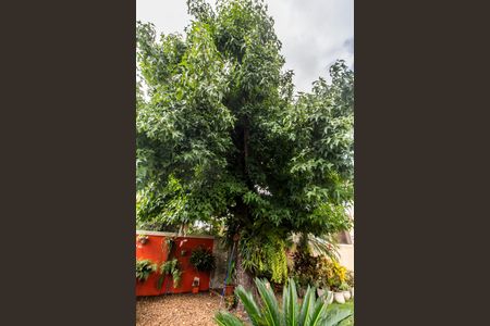Casa de condomínio à venda com 560m², 5 quartos e 4 vagas Casa de condomínio à venda com 560m², 5 quartos e 4 vagasQuintal