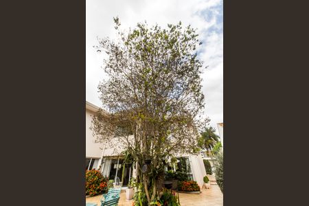 Casa de condomínio à venda com 560m², 5 quartos e 4 vagas Casa de condomínio à venda com 560m², 5 quartos e 4 vagasQuintal
