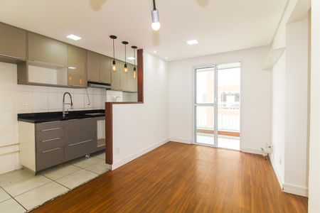 Sala de apartamento para alugar com 2 quartos, 47m² em Vila Carmosina, São Paulo