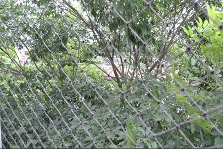 Apartamento para alugar com 2 quartos, 51m² em Água Santa, Rio de Janeiro