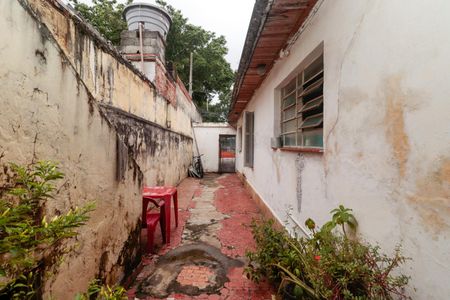 Casa para alugar com 58m², 2 quartos e sem vagaQuintal