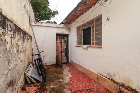 Casa para alugar com 58m², 2 quartos e sem vagaQuintal