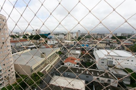 Vista da Varanda da Sala de apartamento para alugar com 3 quartos, 73m² em Vila Esperança, São Paulo