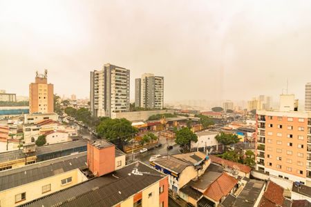 Apartamento para alugar com 1 quarto, 44m² em Vila Santa Catarina, São Paulo