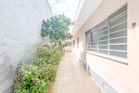 Casa à venda com 110m², 2 quartos e 1 vaga Casa à venda com 110m², 2 quartos e 1 vagaQuintal