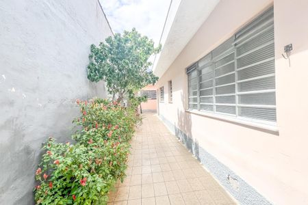 Casa à venda com 110m², 2 quartos e 1 vaga Casa à venda com 110m², 2 quartos e 1 vagaQuintal