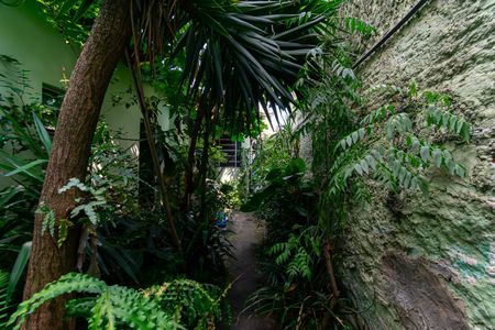 Casa à venda com 202m², 4 quartos e 2 vagasQuintal