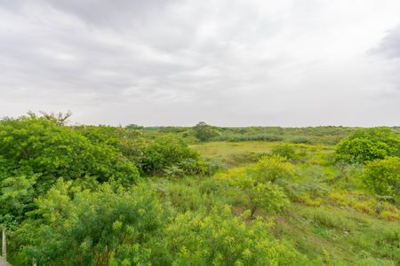 Apartamento para alugar com 50m², 2 quartos e sem vagaSala